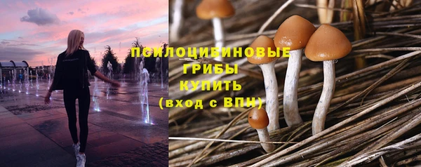 mdpv Балахна
