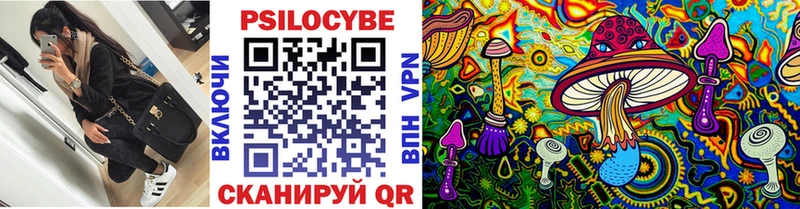 что такое   Шумиха  Псилоцибиновые грибы мухоморы 